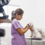 Veterinária atendiendo a un perro