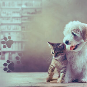 Farmacología aplicada a las patologías más frecuentes en los animales de compañía. 7ª edición