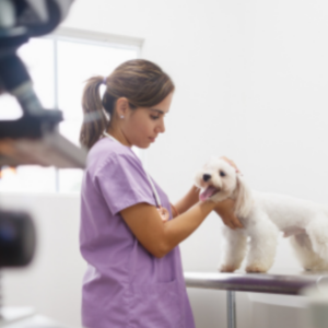 Claves para la dispensación de medicamentos de uso animal. 10ª edición