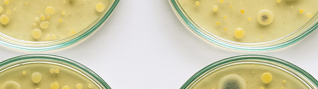 Antibioticoterapia_800x533