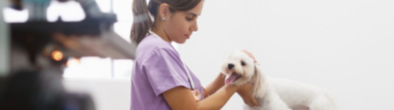 Diseño sin título - 2026-03-17T111706.909