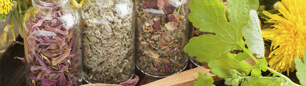 Fito Aplicada_2025_800x533