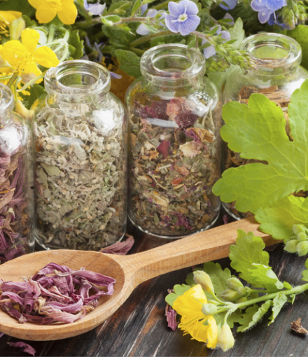 PLANTILLA Slider Àgora (12)