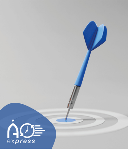 SLIDER WEB_plantilla (2)