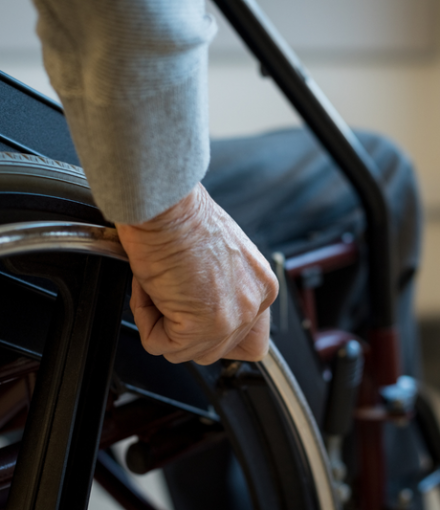 SLIDER WEB_plantilla (6)