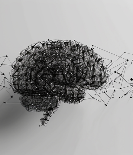 deterioro cognitivo_SLIDER